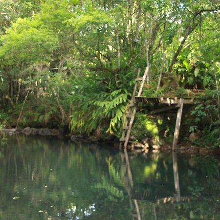 Вилла Casa De Campo - Sitio Da Tia Vera Макине Экстерьер фото